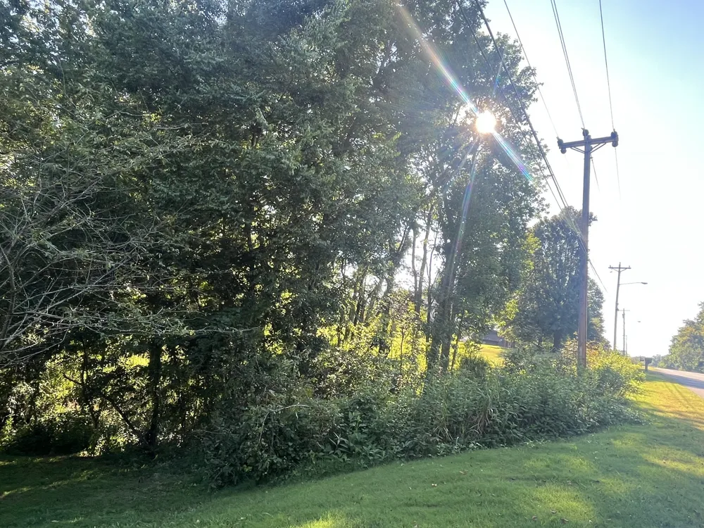 1930 Arlington Rd Lebanon, TN 37087