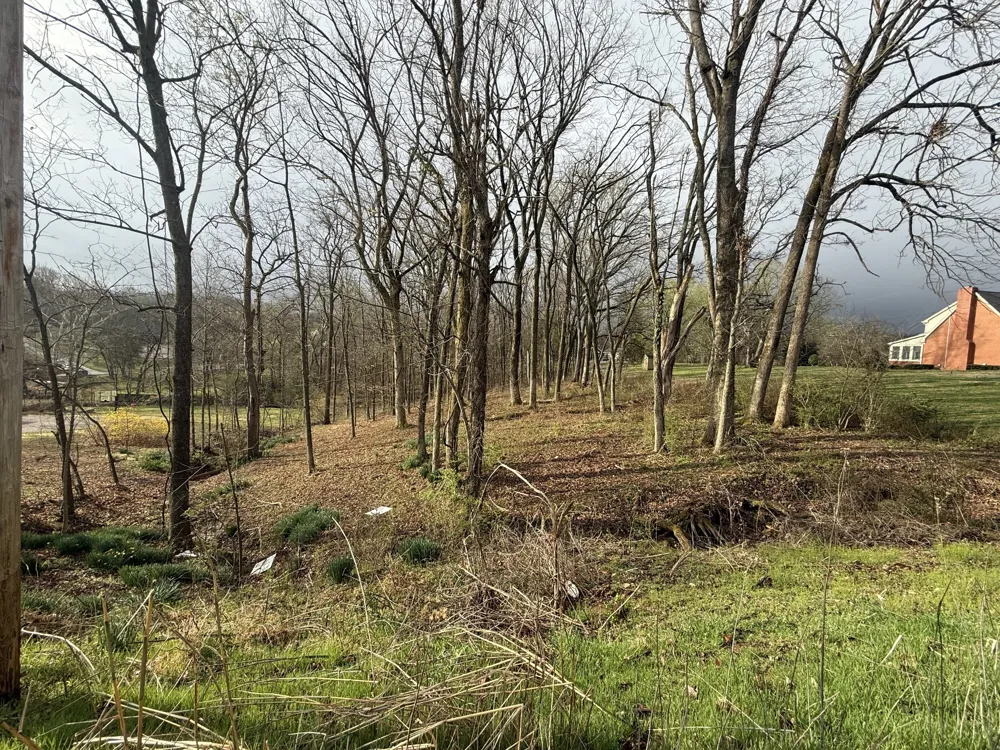 1930 Arlington Rd Lebanon, TN 37087