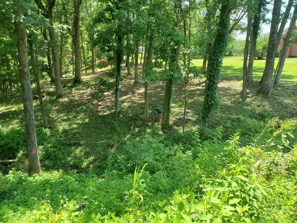 1930 Arlington Rd Lebanon, TN 37087