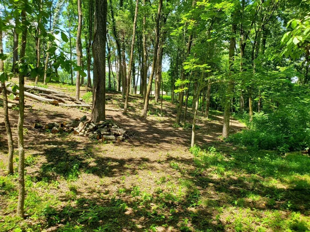 1930 Arlington Rd Lebanon, TN 37087