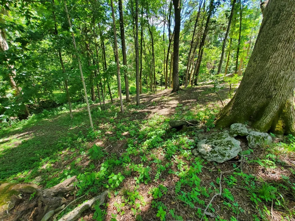 1930 Arlington Rd Lebanon, TN 37087