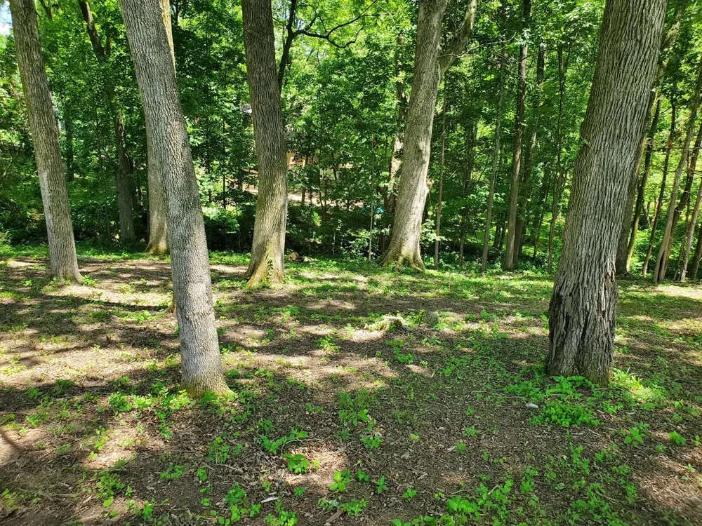 1930 Arlington Rd Lebanon, TN 37087