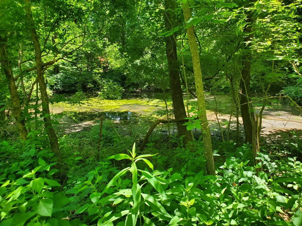 1930 Arlington Rd Lebanon, TN 37087