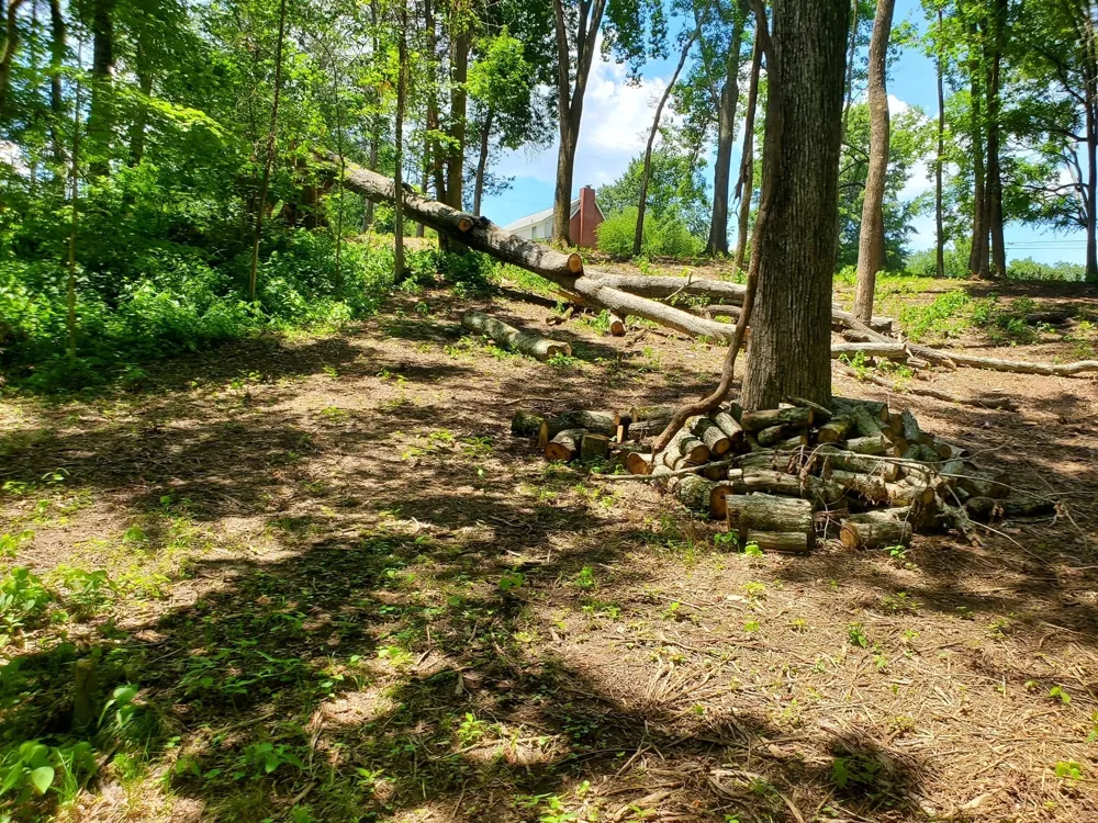 1930 Arlington Rd Lebanon, TN 37087