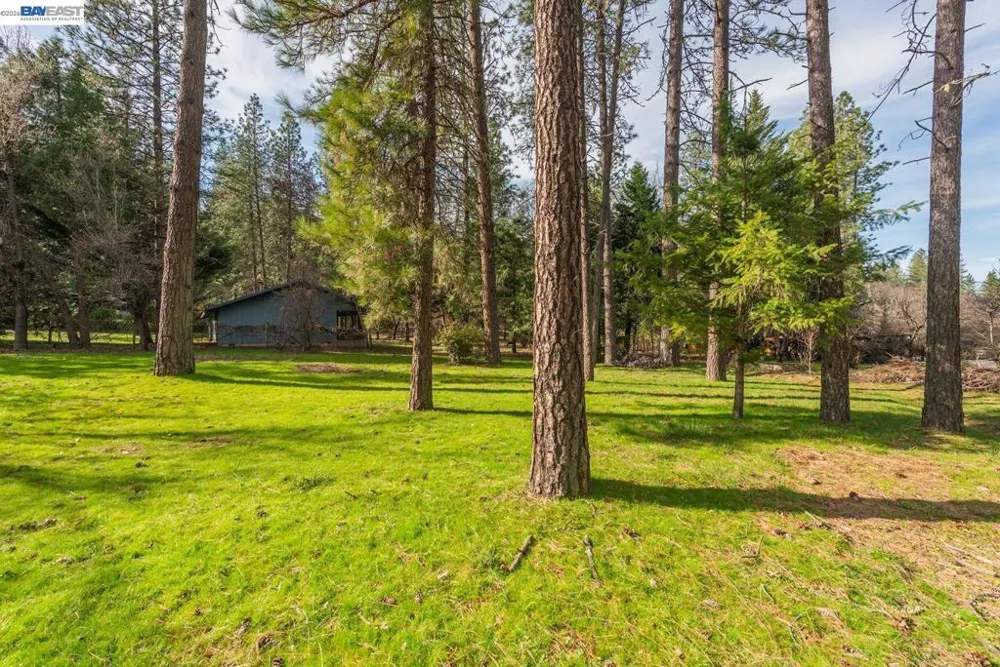 376 Mountain View Dr. Lewiston, CA 96052