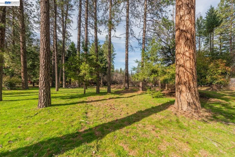 376 Mountain View Dr. Lewiston, CA 96052