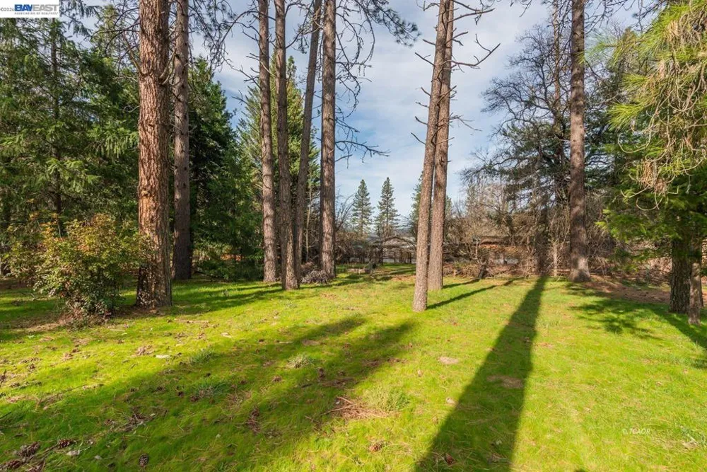 376 Mountain View Dr. Lewiston, CA 96052