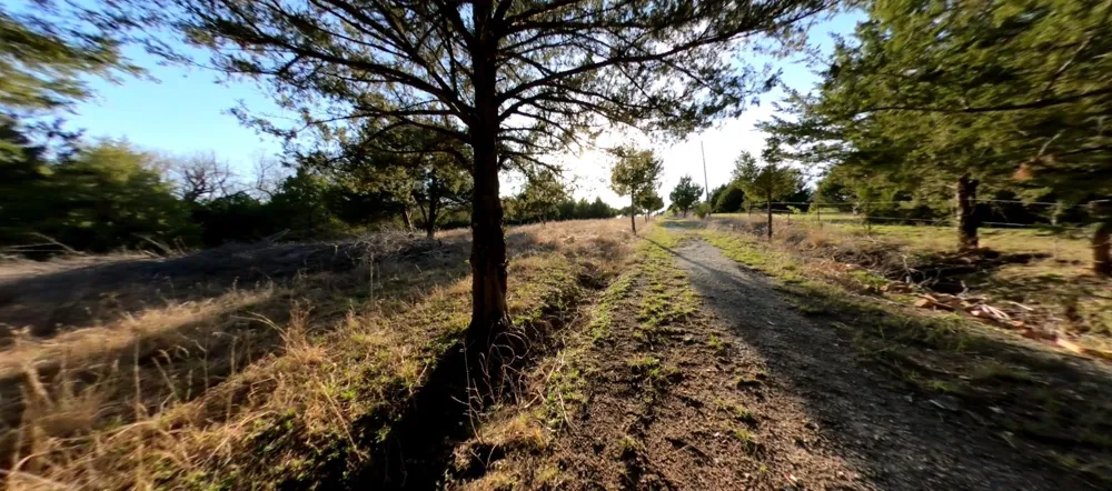 11193 Dakota Trail Princeton, TX 75407