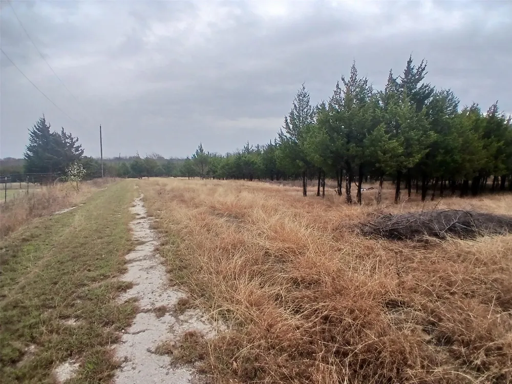 11193 Dakota Trail Princeton, TX 75407