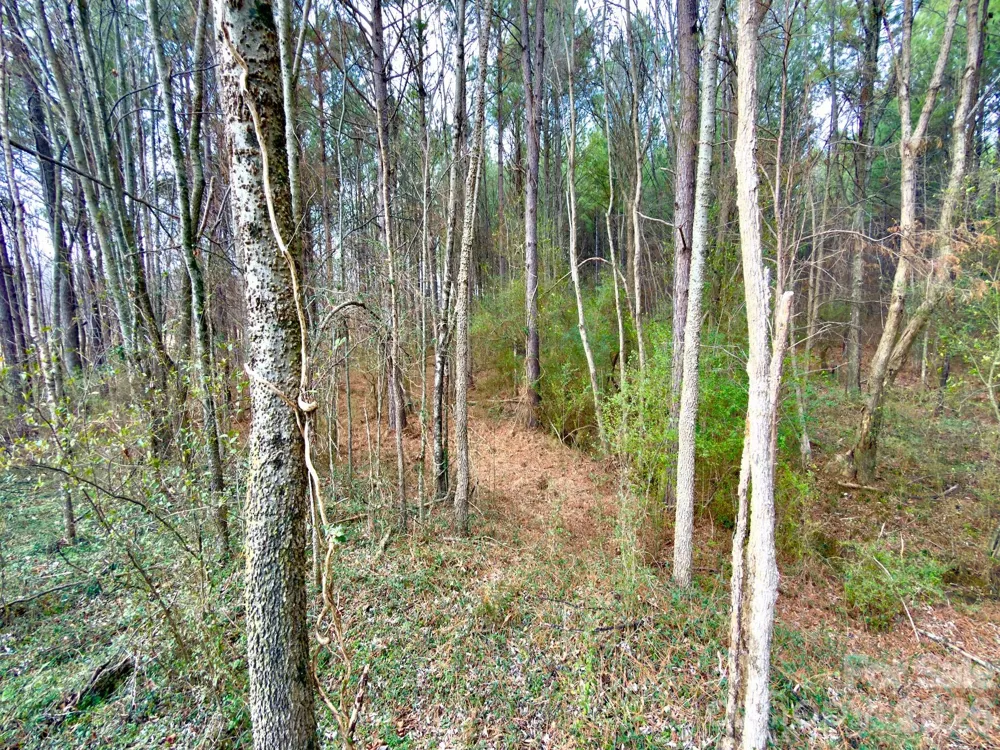 4794 Cauble Road Mount Pleasant, NC 28124