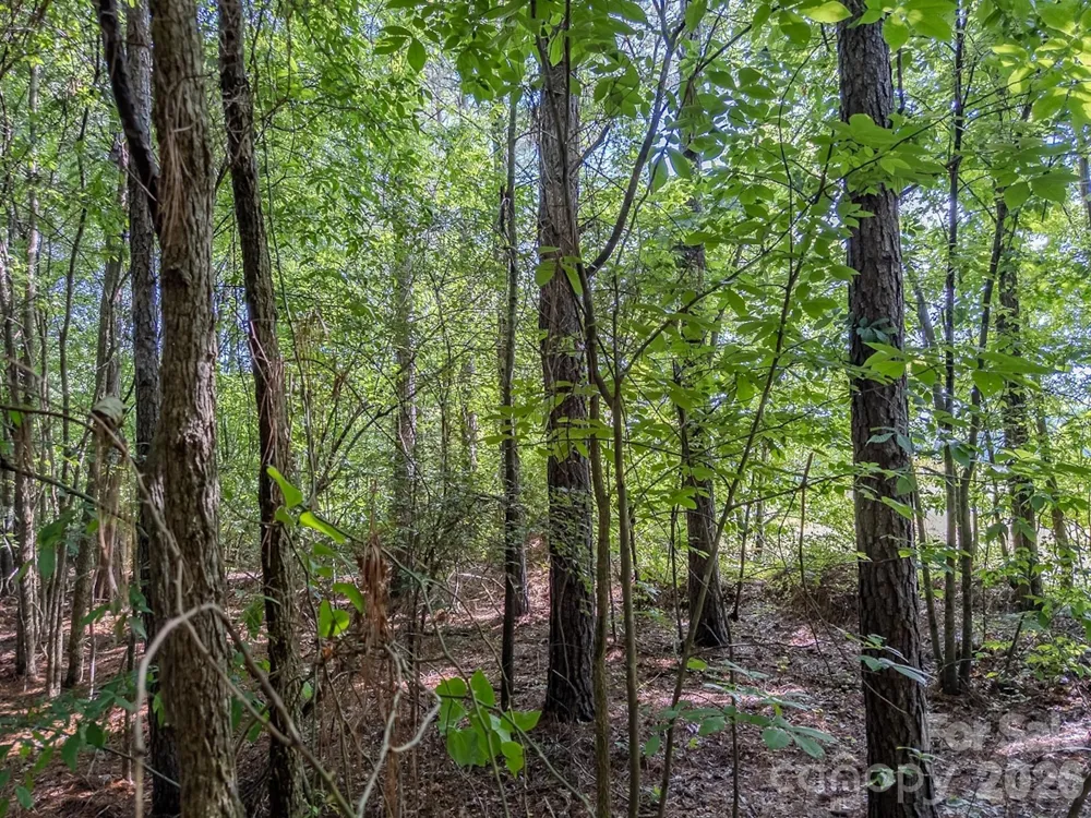 4794 Cauble Road Mount Pleasant, NC 28124