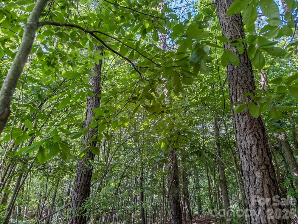 4794 Cauble Road Mount Pleasant, NC 28124