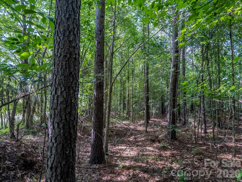4794 Cauble Road Mount Pleasant, NC 28124