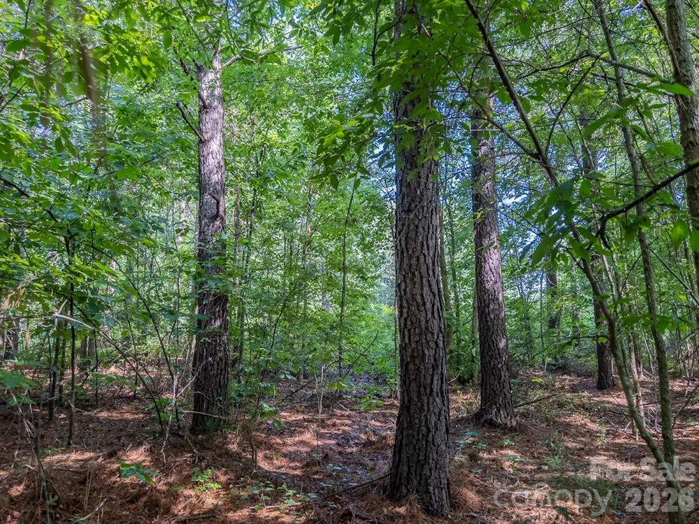 4794 Cauble Road Mount Pleasant, NC 28124