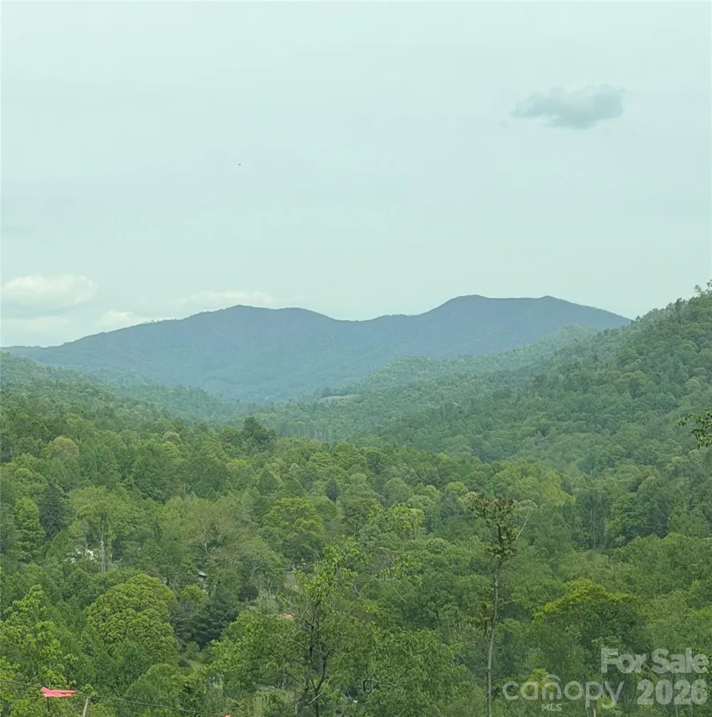 1306 Fork Mountain Road Bakersville, NC 28705