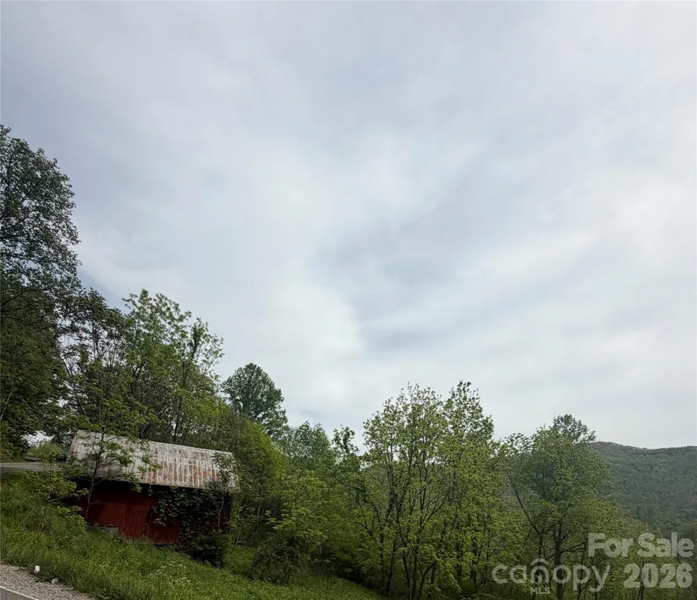 1306 Fork Mountain Road Bakersville, NC 28705
