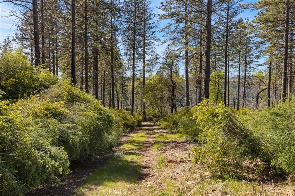 2922 Lost Ridge Way Oroville, CA 95965