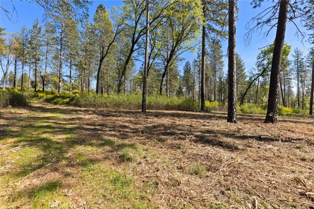 2922 Lost Ridge Way Oroville, CA 95965
