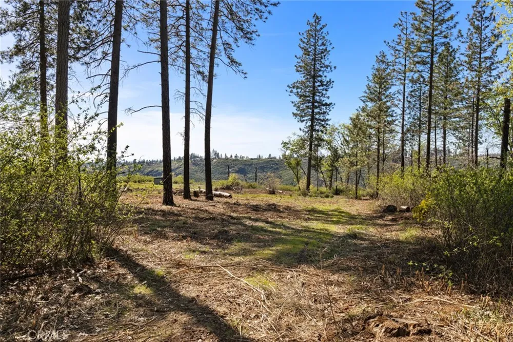 2922 Lost Ridge Way Oroville, CA 95965