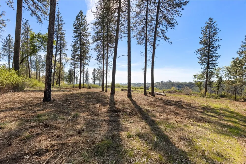 2922 Lost Ridge Way Oroville, CA 95965
