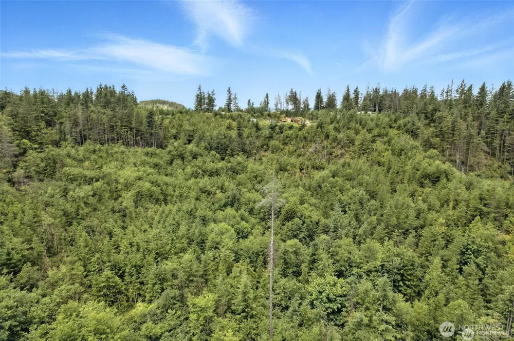 35022 SE 332nd Street Ravensdale, WA 98051