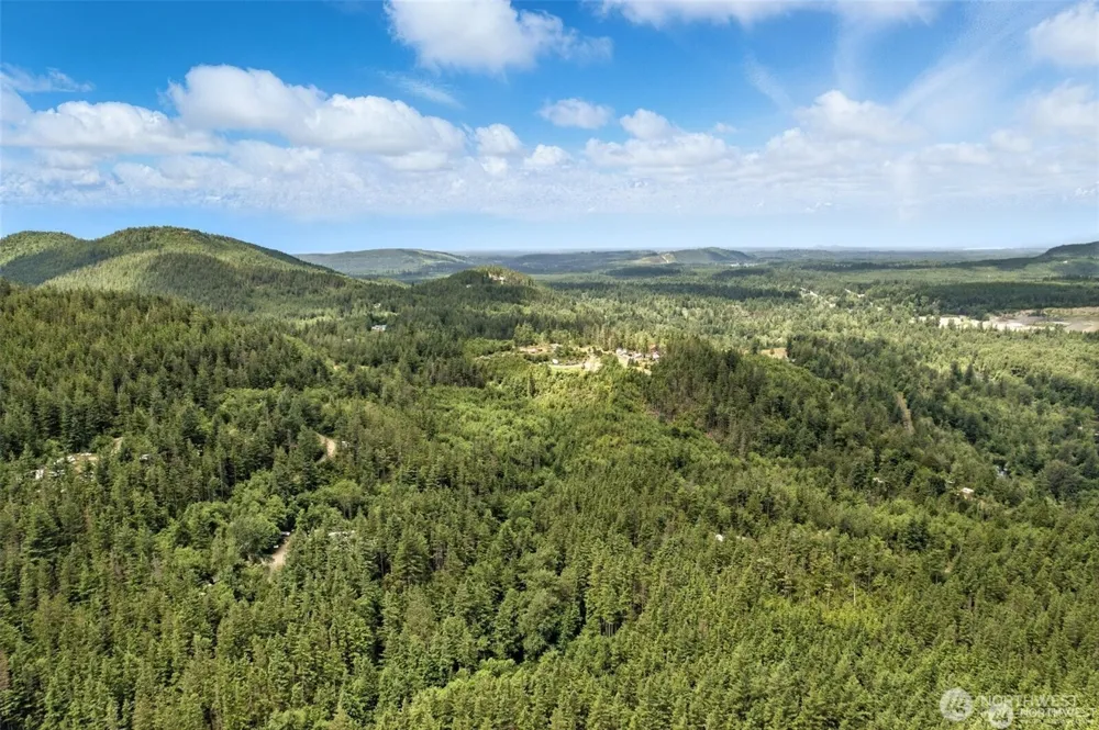 35022 SE 332nd Street Ravensdale, WA 98051