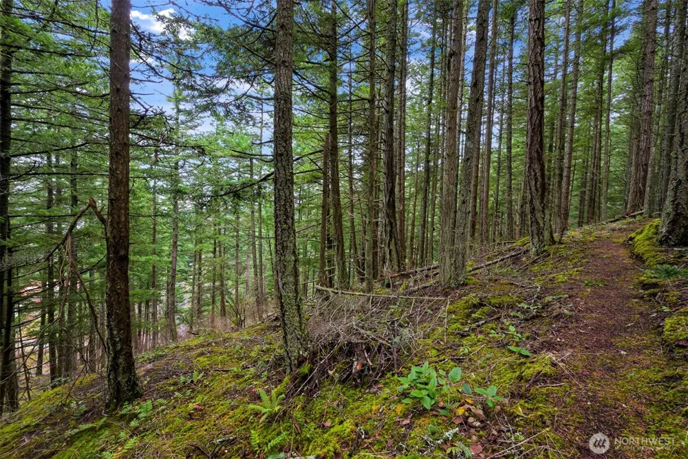 3071 Hales Passage Drive Lummi Island, WA 98262