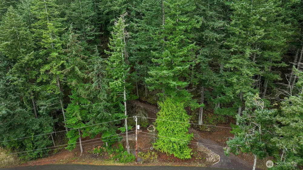 3071 Hales Passage Drive Lummi Island, WA 98262