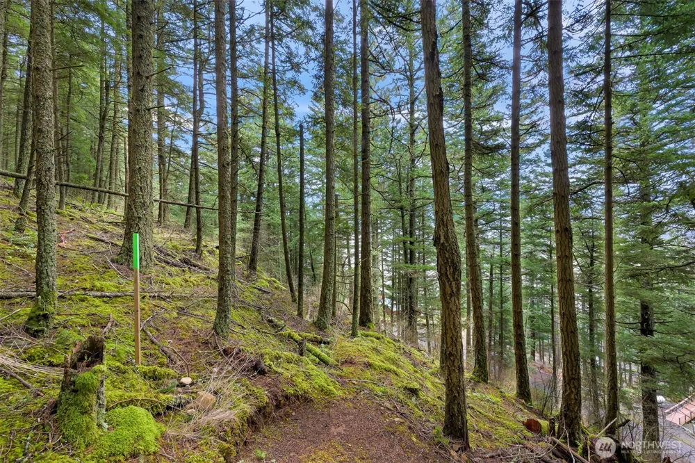 3071 Hales Passage Drive Lummi Island, WA 98262