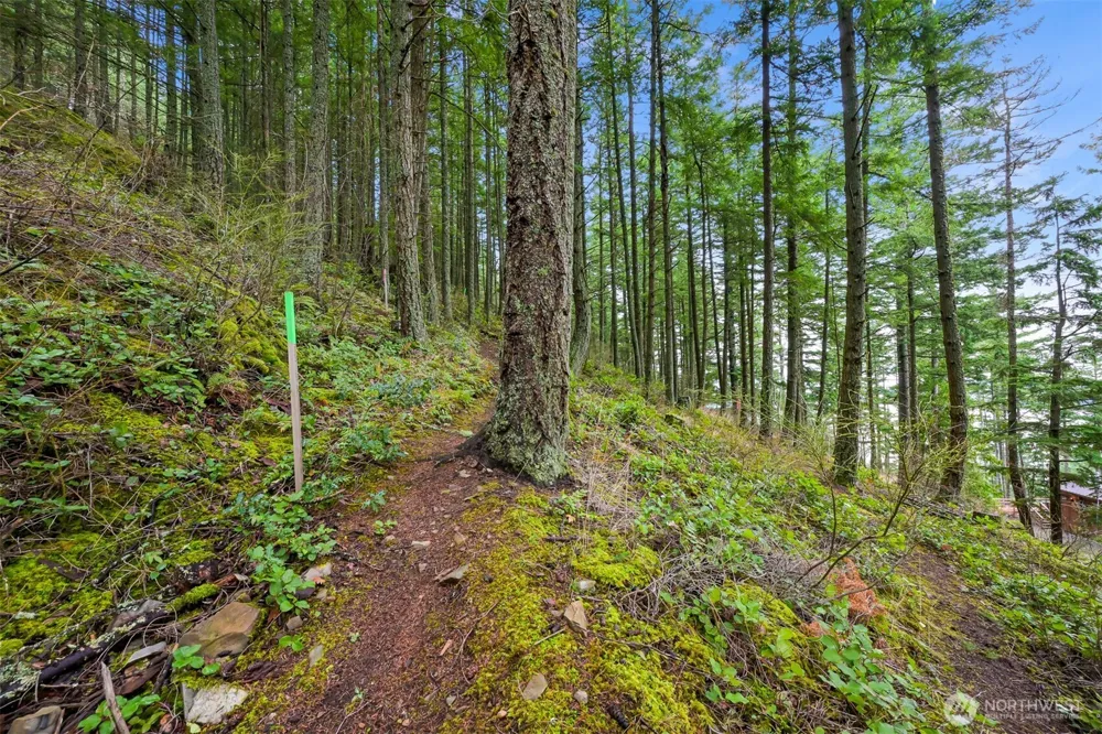 3071 Hales Passage Drive Lummi Island, WA 98262