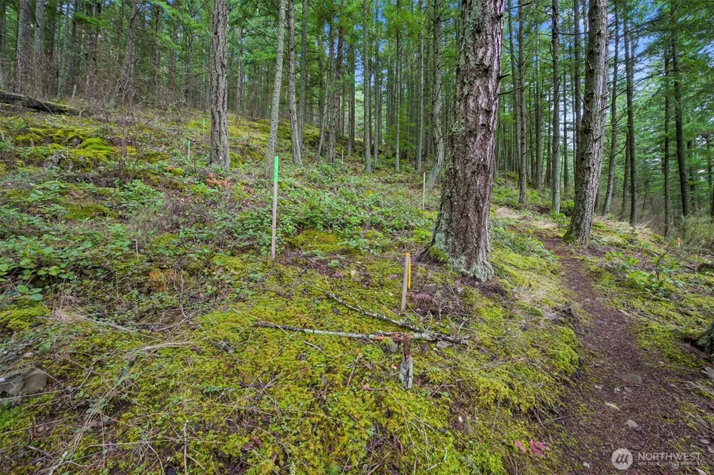 3071 Hales Passage Drive Lummi Island, WA 98262