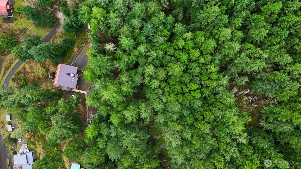 3073 Hales Passage Drive Lummi Island, WA 98262