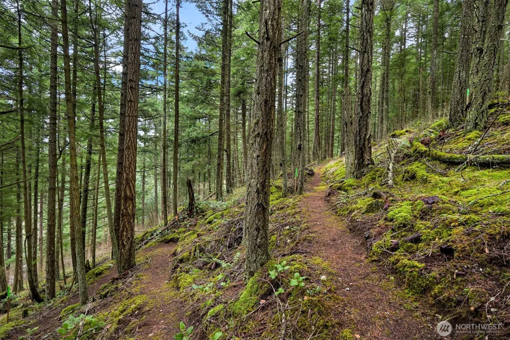 3073 Hales Passage Drive Lummi Island, WA 98262