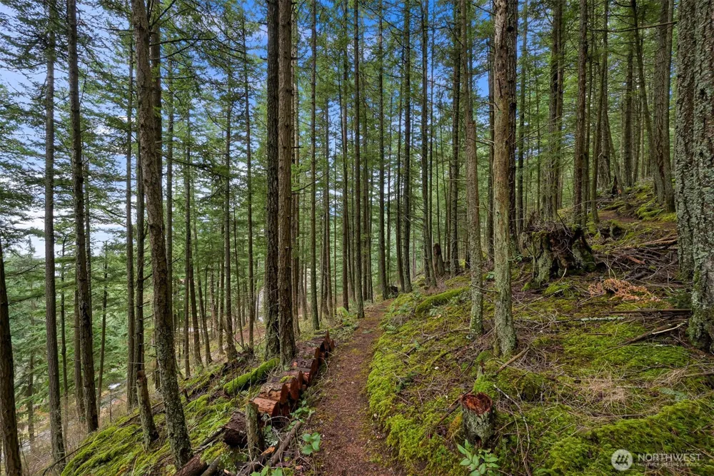 3073 Hales Passage Drive Lummi Island, WA 98262
