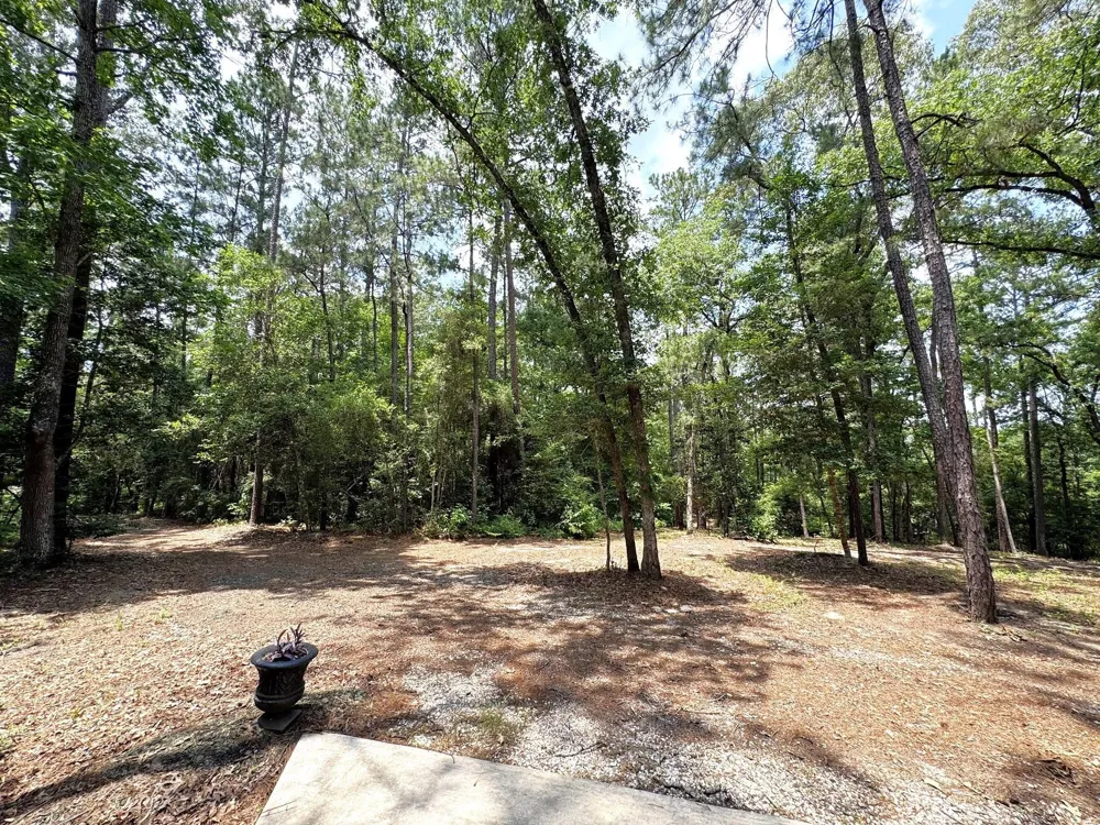 331 County Road 3240 Colmesneil, TX 75938