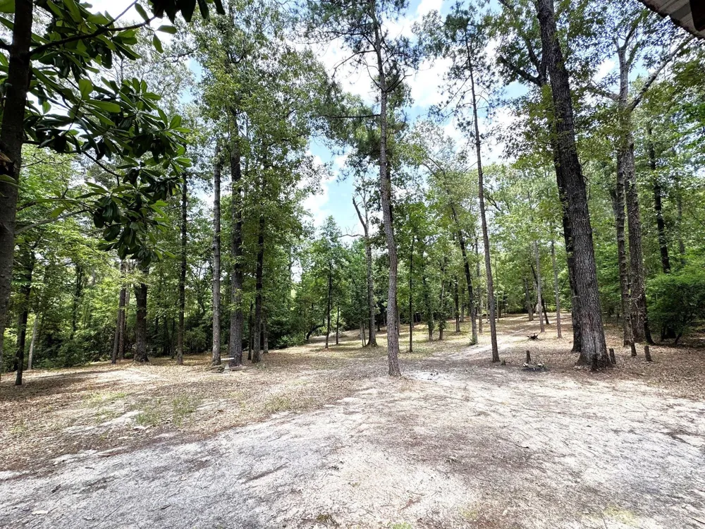 331 County Road 3240 Colmesneil, TX 75938
