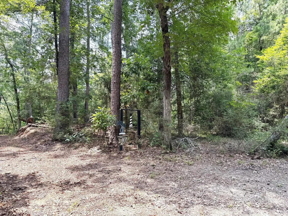 331 County Road 3240 Colmesneil, TX 75938