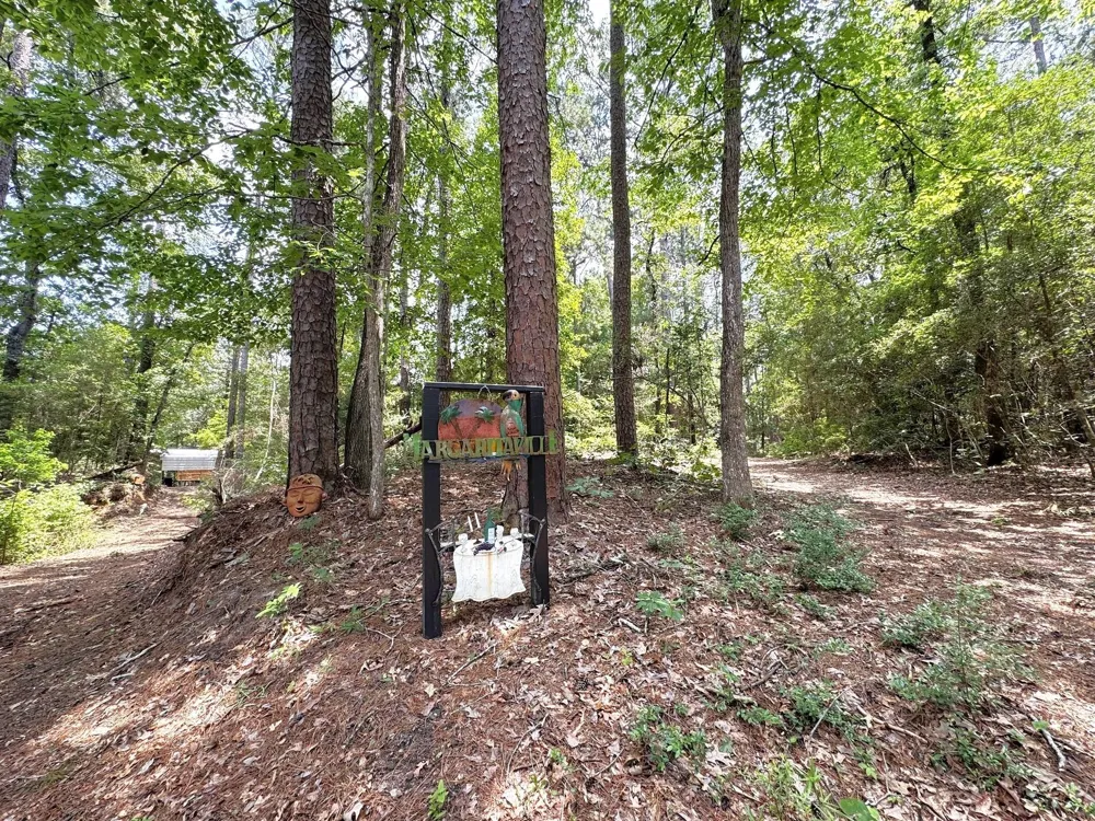 331 County Road 3240 Colmesneil, TX 75938