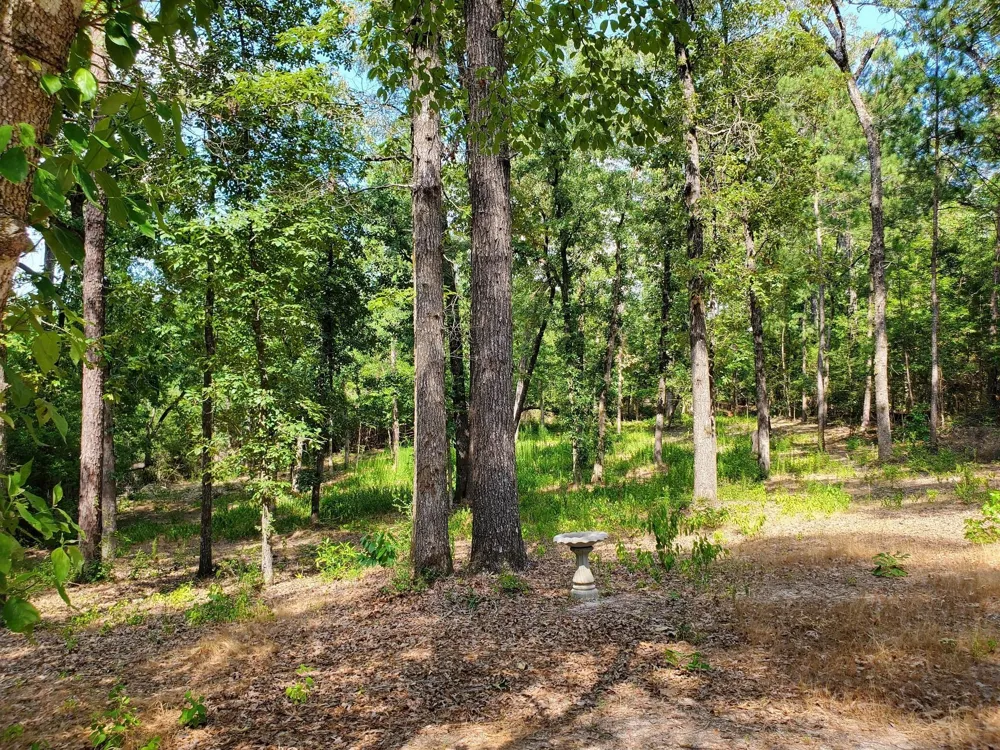 331 County Road 3240 Colmesneil, TX 75938