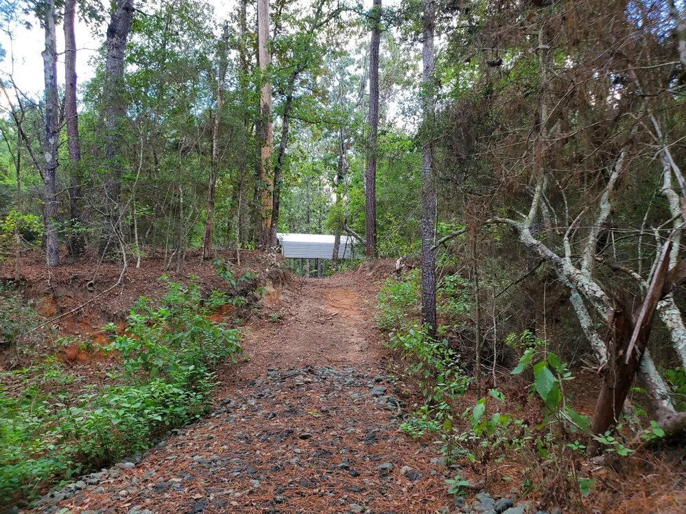 331 County Road 3240 Colmesneil, TX 75938