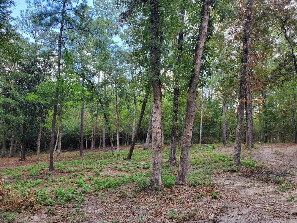 331 County Road 3240 Colmesneil, TX 75938