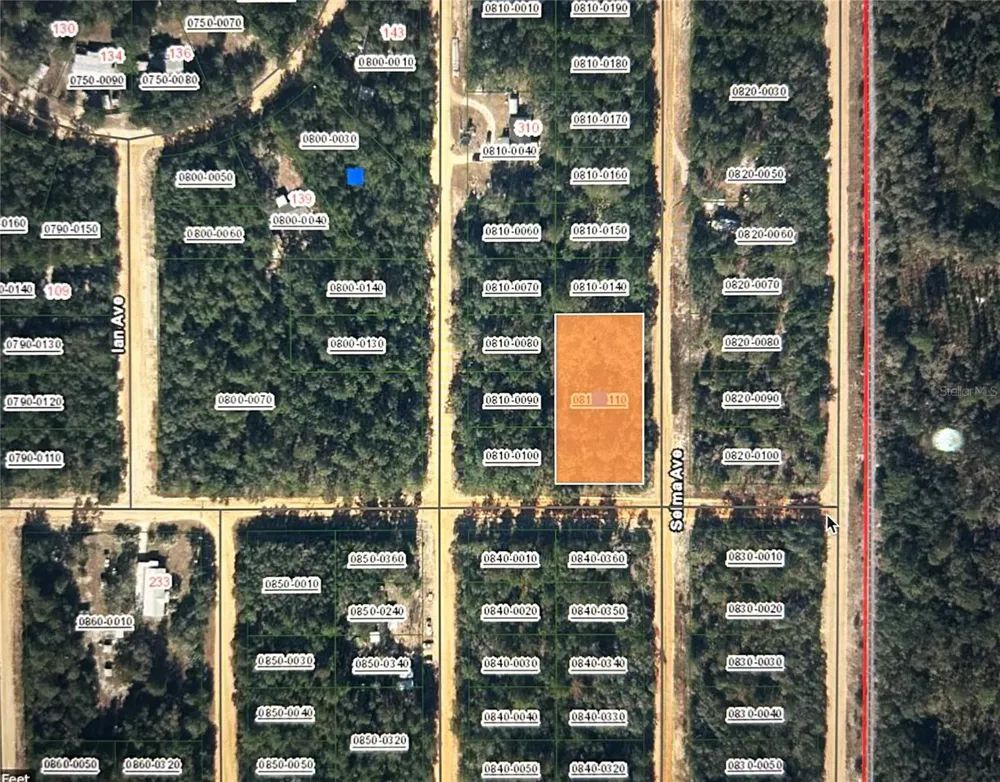 00 SELMA AVE Interlachen, FL 32148