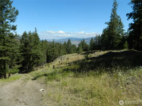 0 TBD Snowbunny Ridge Drive