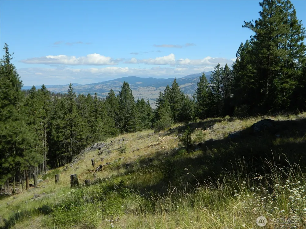 0 TBD Snowbunny Ridge Drive Tonasket, WA 98855