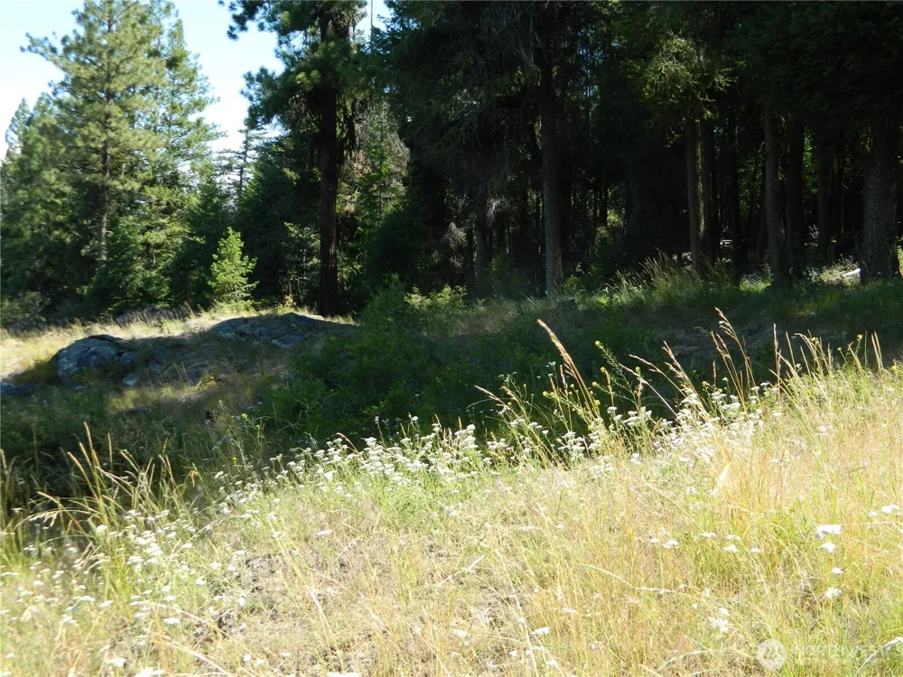 0 TBD Snowbunny Ridge Drive Tonasket, WA 98855
