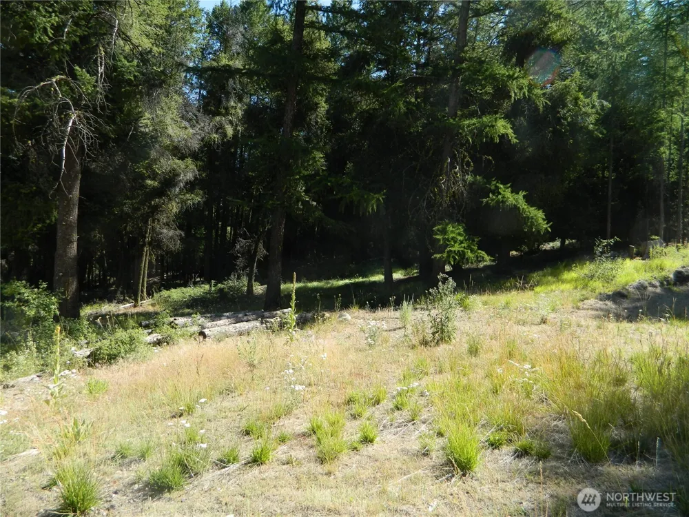 0 TBD Snowbunny Ridge Drive Tonasket, WA 98855