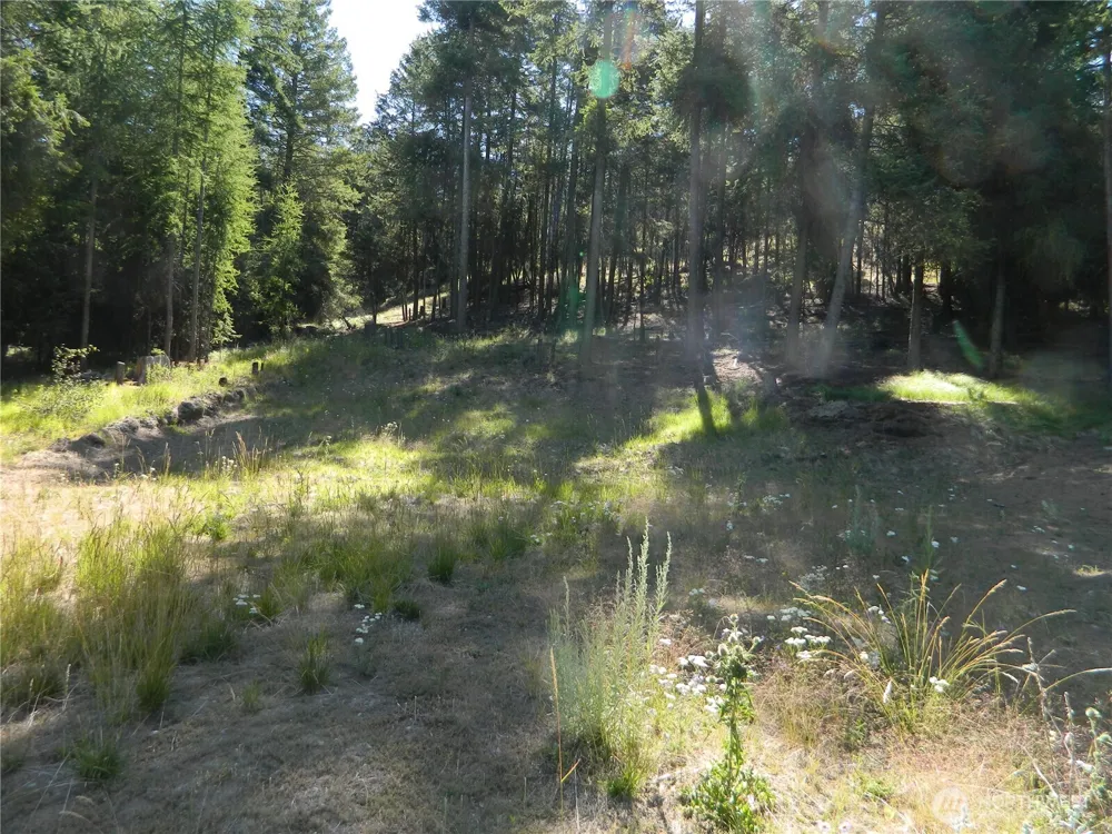 0 TBD Snowbunny Ridge Drive Tonasket, WA 98855