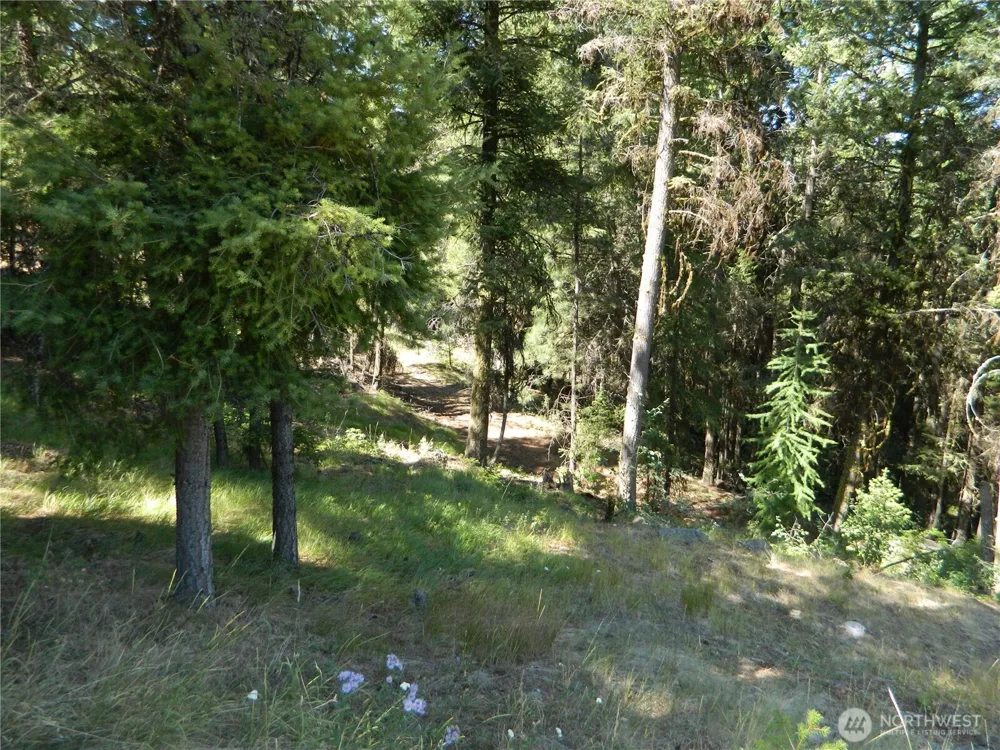 0 TBD Snowbunny Ridge Drive Tonasket, WA 98855