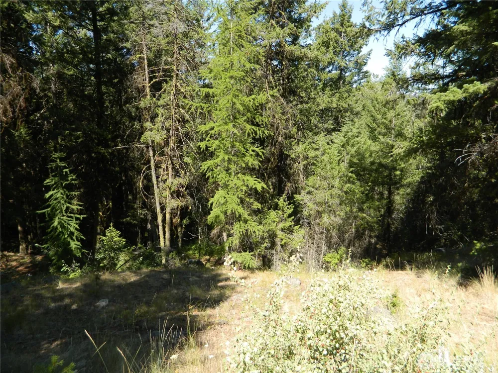 0 TBD Snowbunny Ridge Drive Tonasket, WA 98855