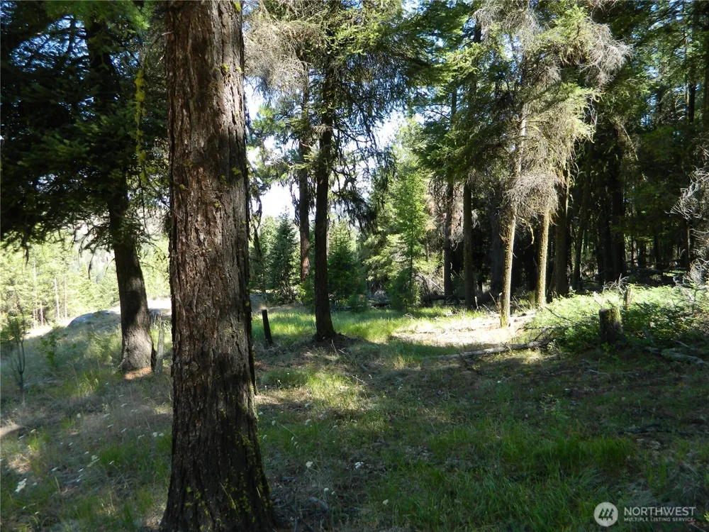 0 TBD Snowbunny Ridge Drive Tonasket, WA 98855